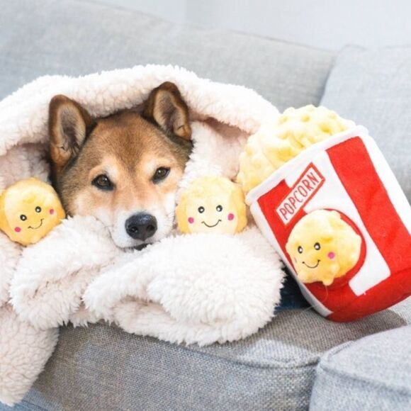 Zippy Paws Burrow Interactive Dog Toy Hide and Seek Squeaky Popcorn Bucket - Picture 2 of 12